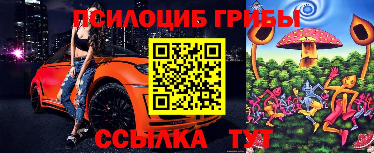 Псилоцибиновые грибы мицелий Набережные Челны
